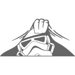 Sticker Star trooper star wars