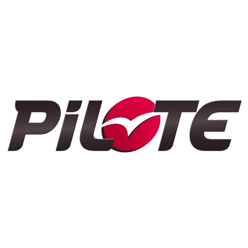 Stickers Pilote personnalisable