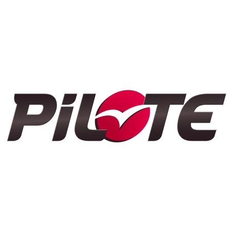 Stickers Pilote personnalisable